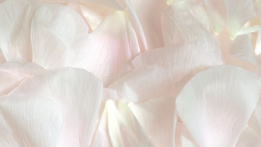 soft and gentle texture